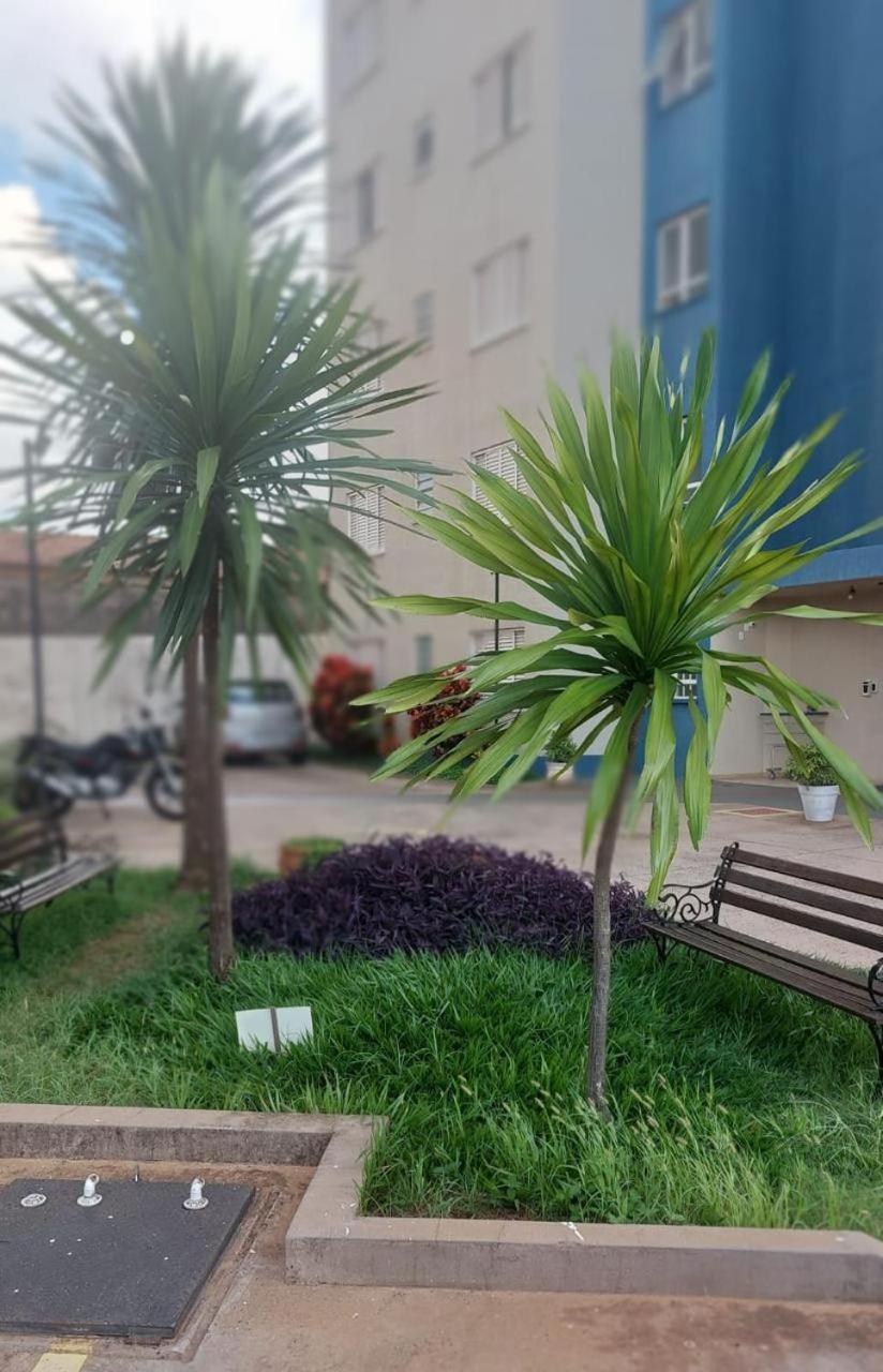 Apartamento Mari 7 São Carlos Εξωτερικό φωτογραφία